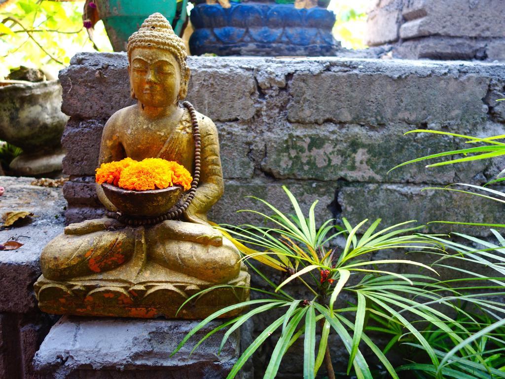 Kabera Bungalow 3 Ubud Zewnętrze zdjęcie